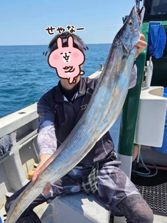 タチウオの釣果