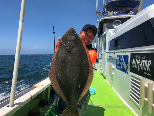 ヒラメの釣果