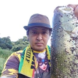ブラックバス