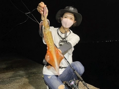 ケンサキイカの釣果