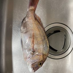タイ
