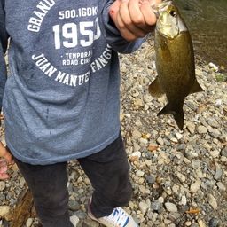 スモールマウスバス