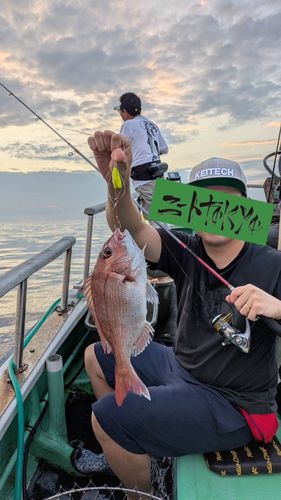 タイの釣果