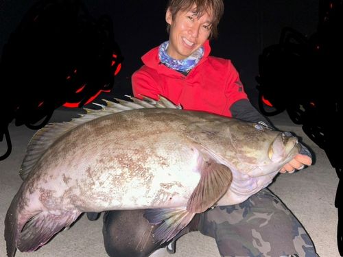 クエの釣果
