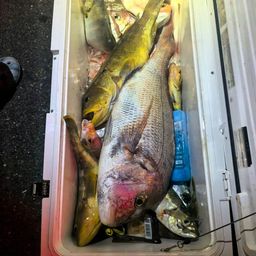 タイ