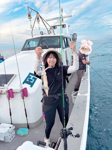 ケンサキイカの釣果