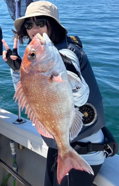 タイの釣果