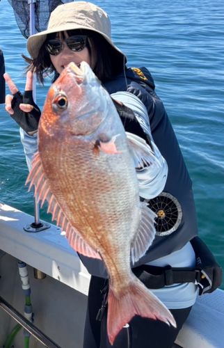 タイの釣果
