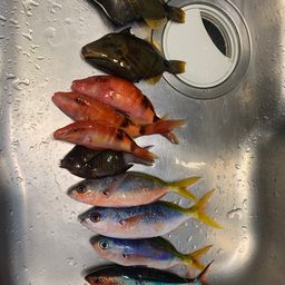 グルクン