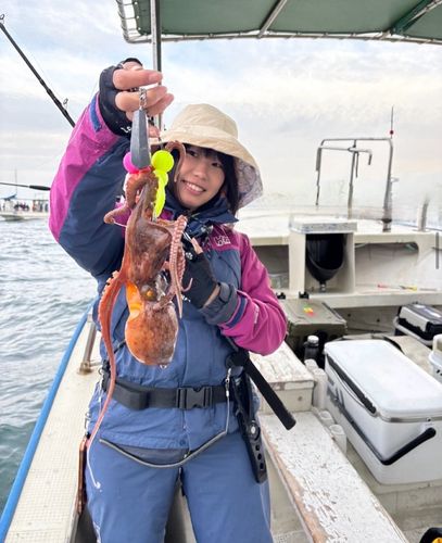 タコの釣果