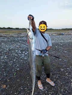 タチウオの釣果
