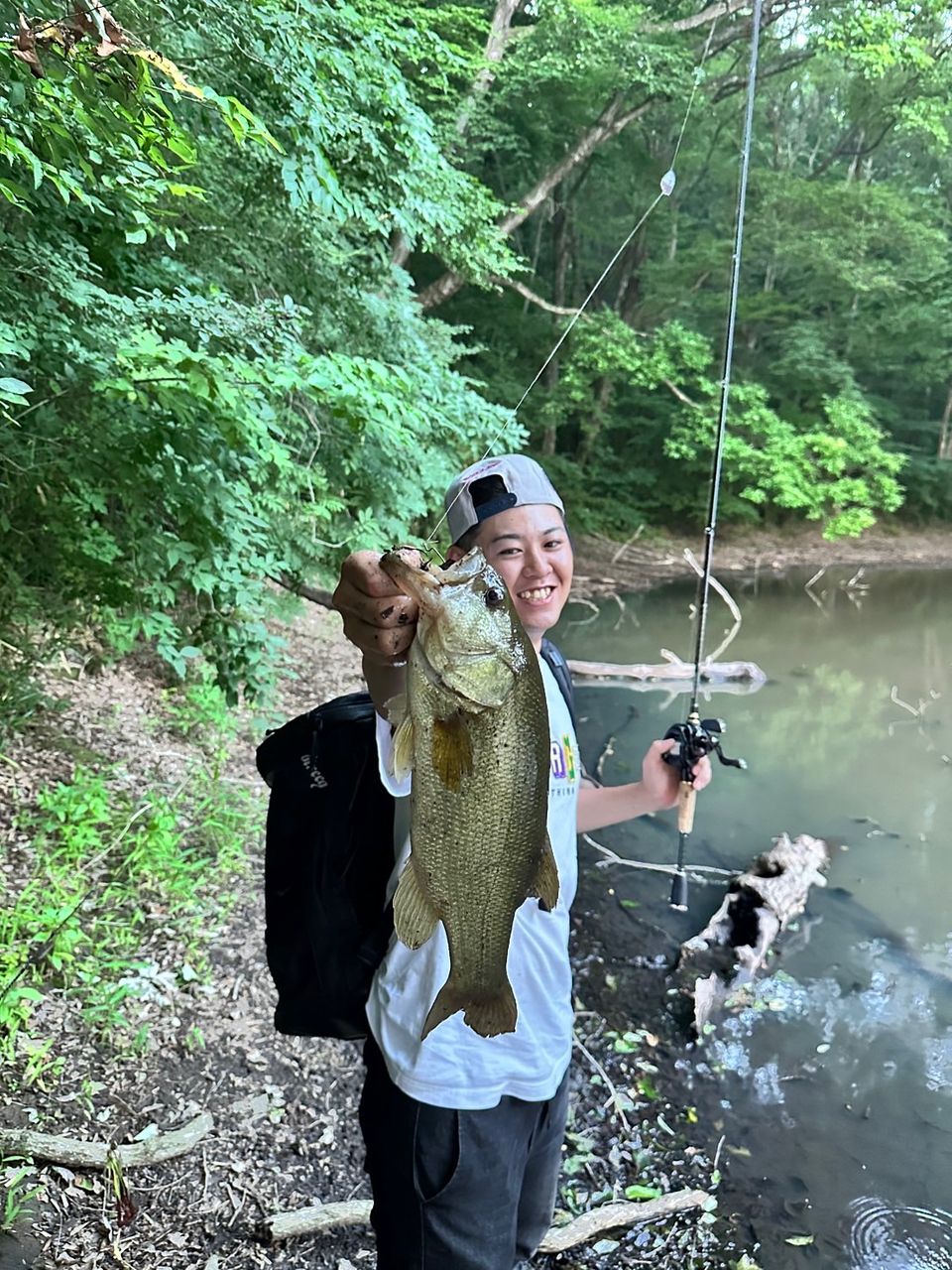 ラージマウスバス