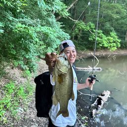 ラージマウスバス