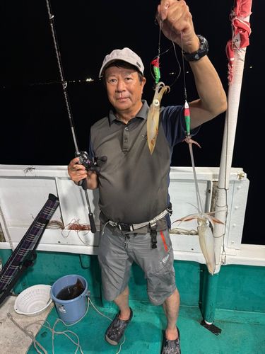 アカイカの釣果