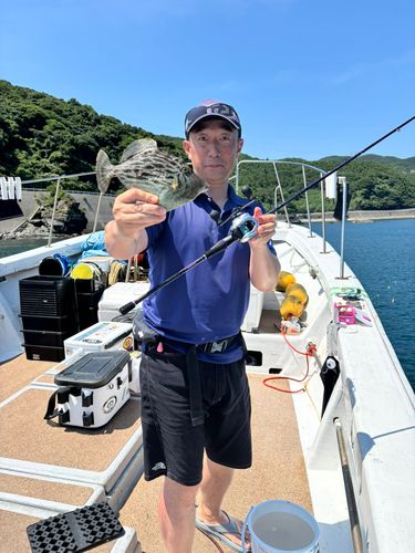 カワハギの釣果
