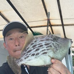 カワハギ