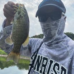 スモールマウスバス