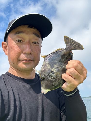 カワハギの釣果