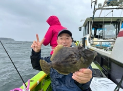 カワハギの釣果