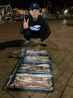 ケンサキイカの釣果
