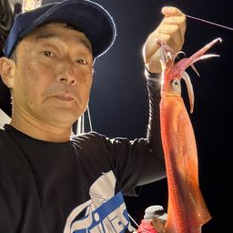 ケンサキイカ