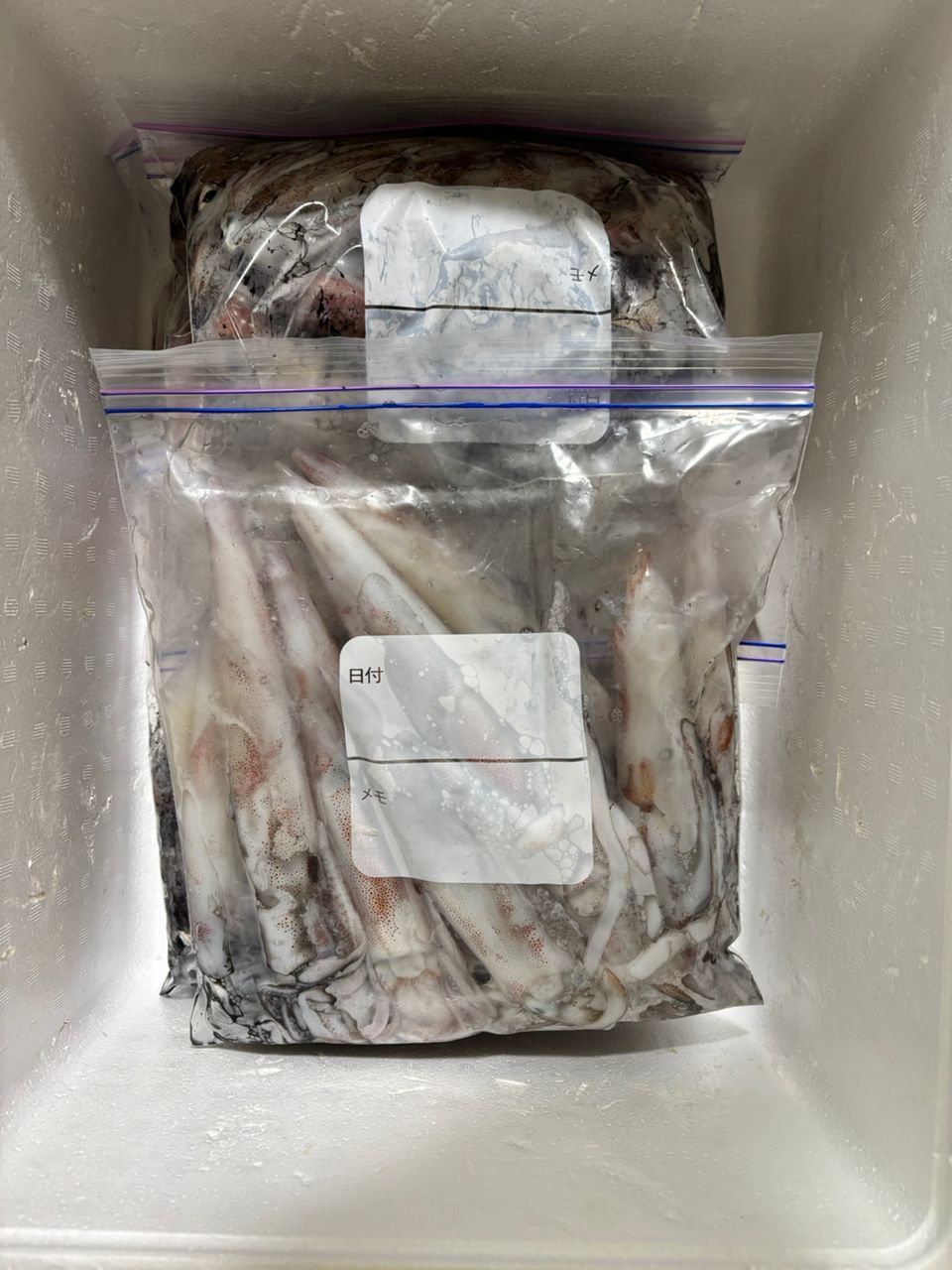 タッチーさんの釣果 2枚目の画像