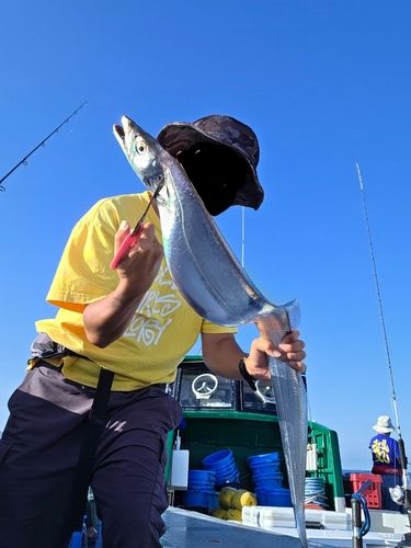 タチウオの釣果