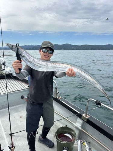 タチウオの釣果