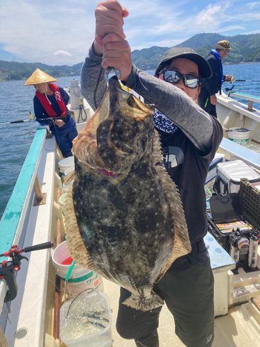 ヒラメの釣果