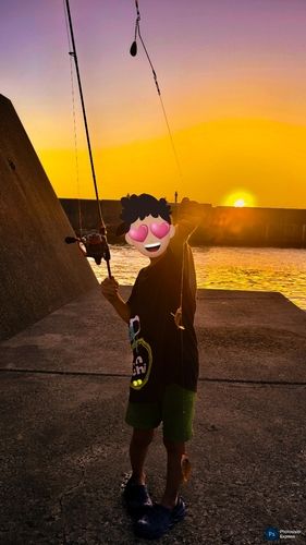 チャリコの釣果