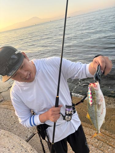 ツバスの釣果