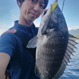 クロダイ