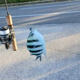 ロクセンスズメダイ