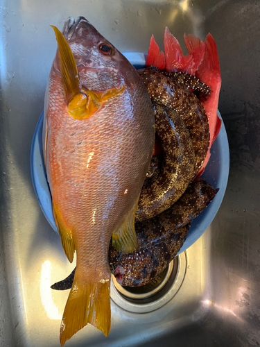 泊浦