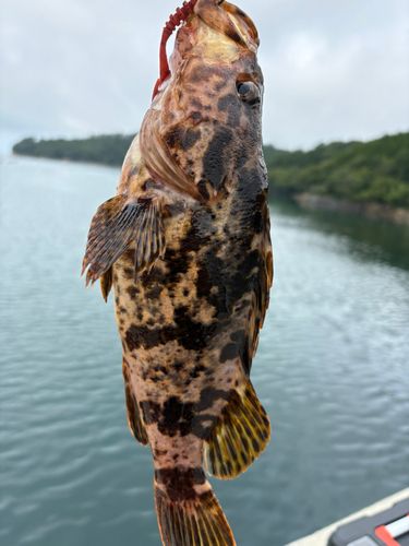 小網倉漁港
