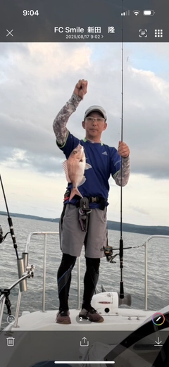 タイの釣果