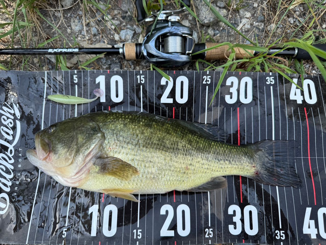 SHIMANO - 17　エクスプライド　166ML-2 シマノ エクスプライド（EXPRIDE） 166ML-2 インプレ - 俺のバス