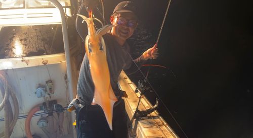 ケンサキイカの釣果