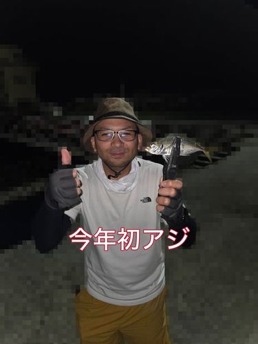 マアジの釣果