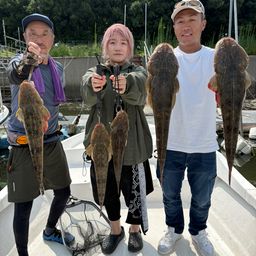 マゴチ