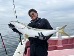 ヒラマサの釣果