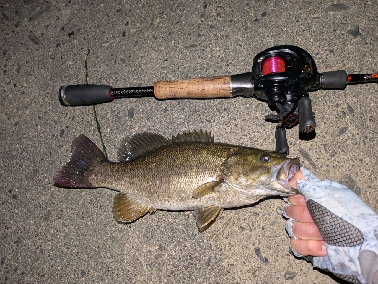 スモールマウスバス