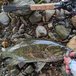 スモールマウスバス