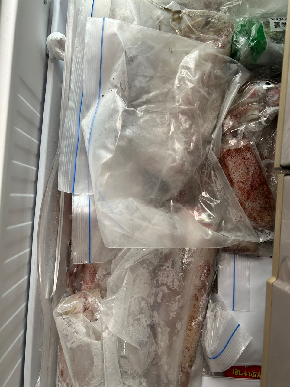 トモニクトレッドさんの釣果 1枚目の画像