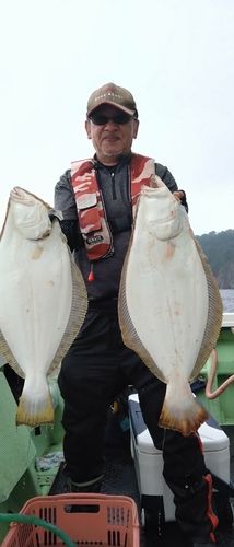 ヒラメの釣果