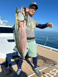 サワラの釣果