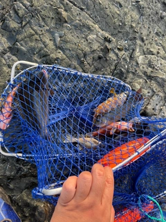 釣果
