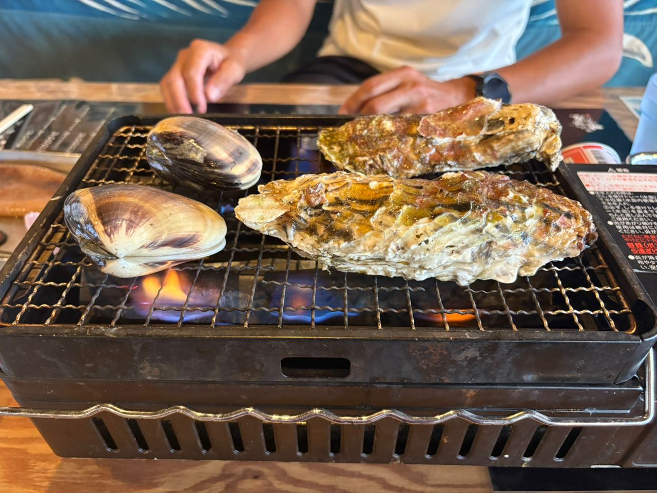 ヒラメ
