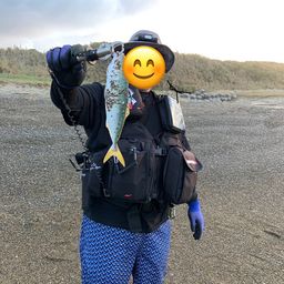 ワカシ