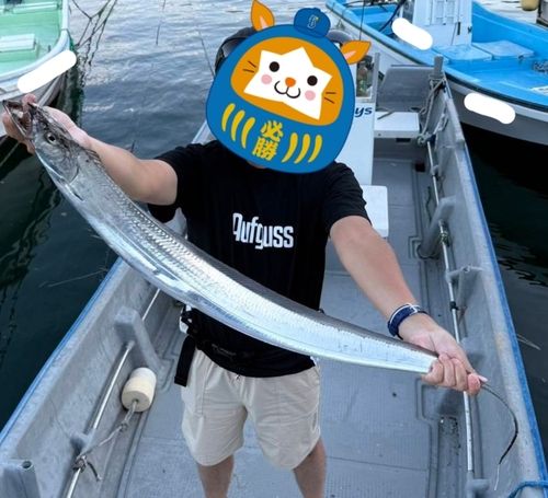 タチウオの釣果